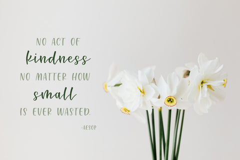 Renewed | Hand Lettered Font Duo Font Cerebrations 