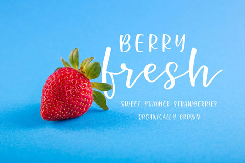 Renewed | Hand Lettered Font Duo Font Cerebrations 