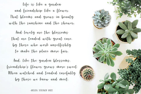 Renewed | Hand Lettered Font Duo Font Cerebrations 