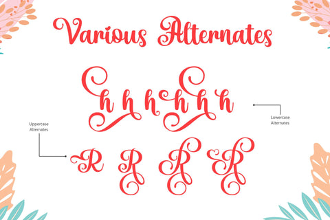 Renitha Font Holydie Studio 