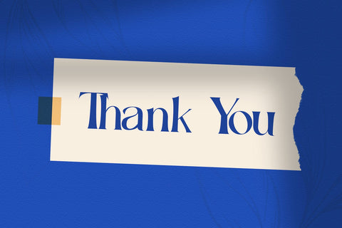 Renjany - Elegant Serif Font Font StringLabs 