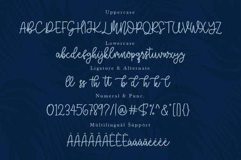 Rethobie Handwritten Script Font Font Balevgraph Studio 