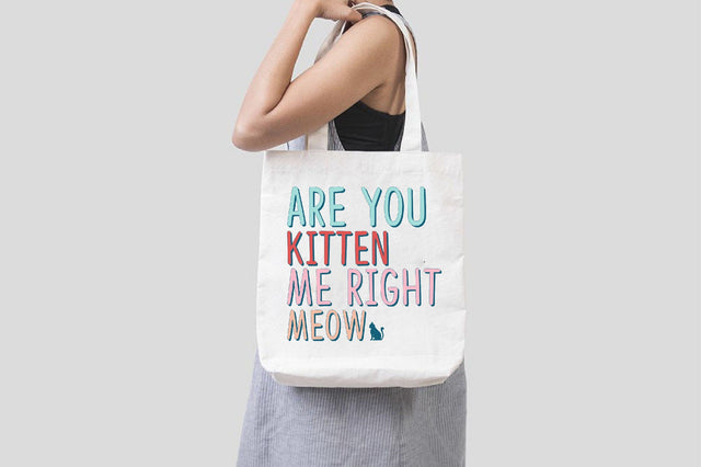 Retro Are you kitten me right meow SVG SVG SVGista 