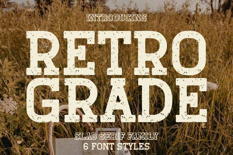 Retro Grade - 6 Fonts Font Irvan Randi 