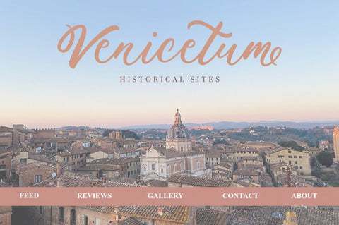 Rhapsody Script Font Anastasia 