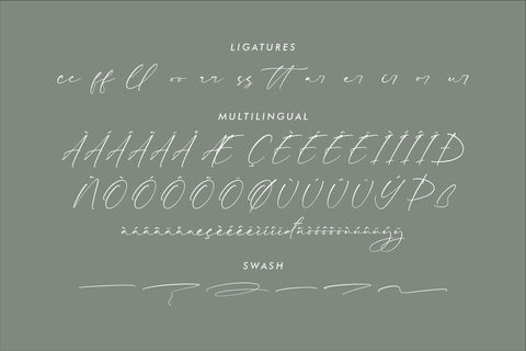 Rhastela Greams - Modern Signature Font Font Storytype Studio 