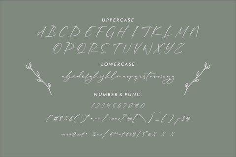 Rhastela Greams - Modern Signature Font Font Storytype Studio 