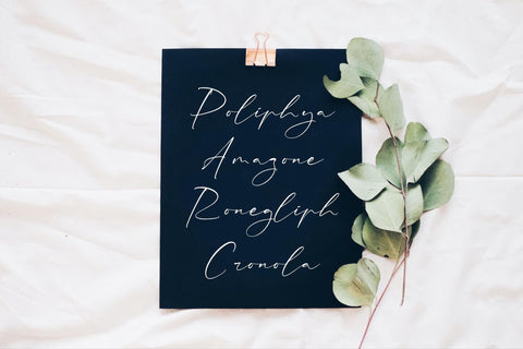 Rhastela Greams - Modern Signature Font Font Storytype Studio 