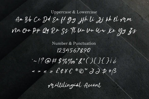 Rhileida - Script Font Font Attype studio 