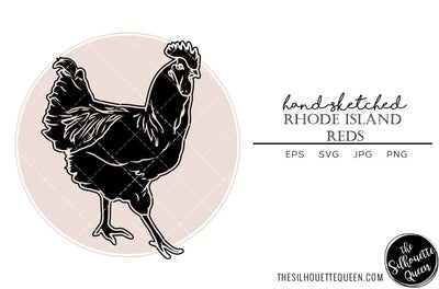 Rhode Island Reds Chicken Sketch Vector SVG Loveleen Kaur 