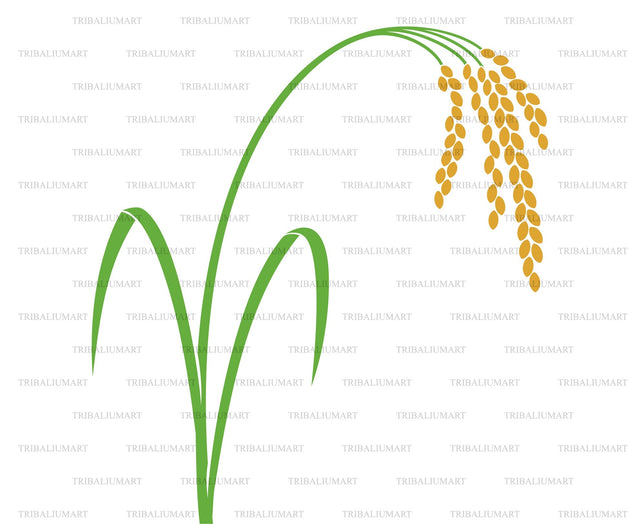 Rice plant SVG TribaliumArtSF 