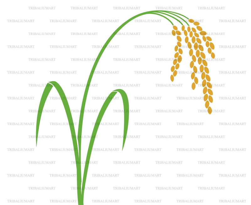Rice plant SVG TribaliumArtSF 