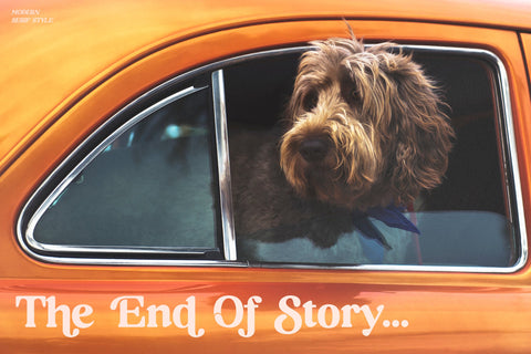 Richard Samuels Typeface Font Storytype Studio 