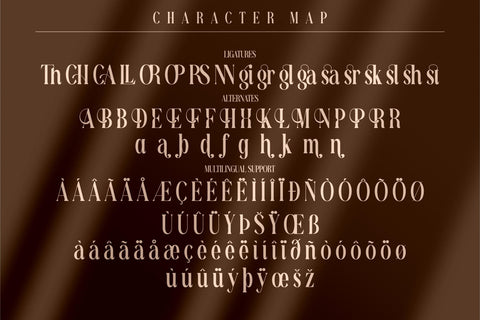 Richardo Flacky Typeface Font Storytype Studio 