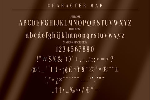 Richardo Flacky Typeface Font Storytype Studio 