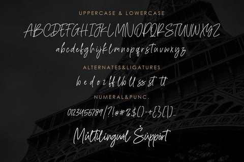 Richella Handwritten Script Font Font Balevgraph Studio 