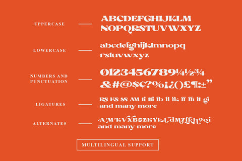 Rickson - Bold Serif Font Arterfak Project 