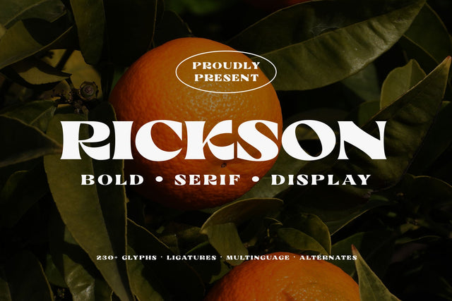Rickson - Bold Serif Font Arterfak Project 