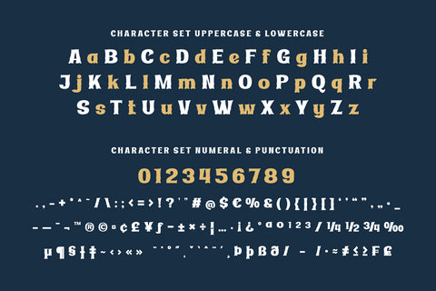 Ridasbin | Serif Classic Modernism Font twinletter 