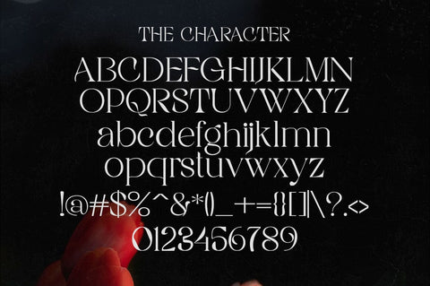 Rigata Font gatype 