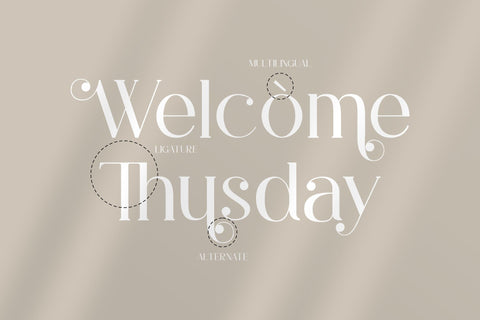 Rihena Typeface Font Storytype Studio 