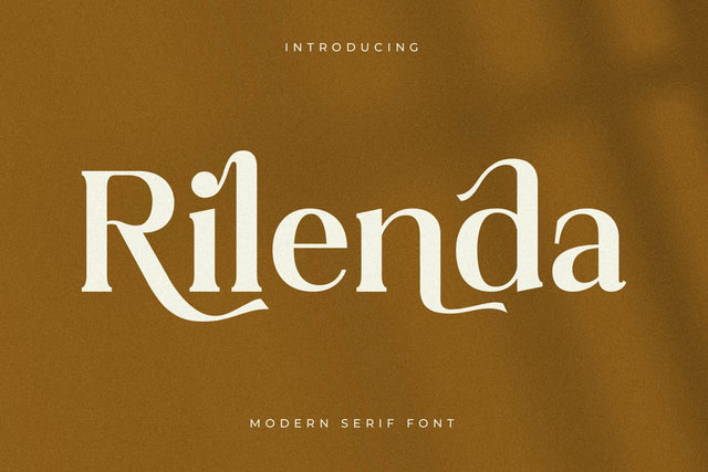 Rilenda Typeface Font Storytype Studio 