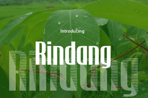 Rindang Font zafrans studio 