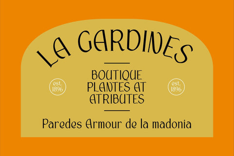 Riolanik Typeface Font Storytype Studio 