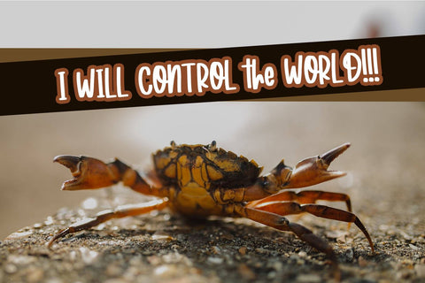 Roasted Coconut - Quirky Handwritten Font Font Dm Letter Studio 