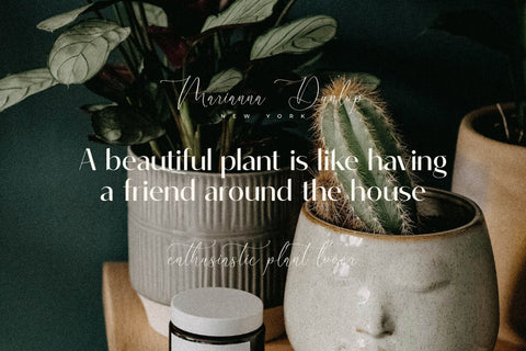 ROBIMA MERTTHA FONT DUO Font Storytype Studio 