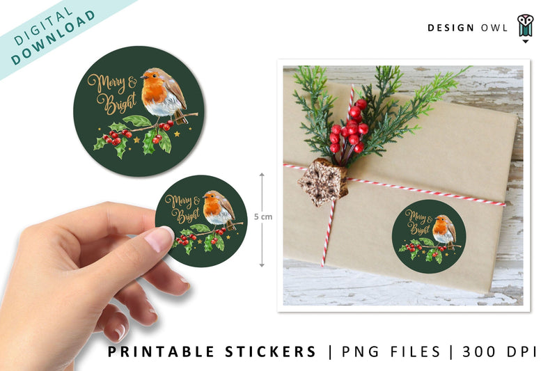 Robin and holly - Green Christmas Gift Stickers PNG SVG Design Owl 