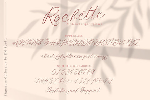 Rochette - Elegant Signature Font Font Dm Letter Studio 