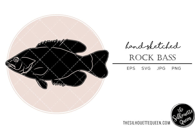 Rock Bass Hand sketched, hand drawn vector clipart SVG Loveleen Kaur 