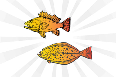 Rock Fish Set Vector SVG Johan Ru designs 