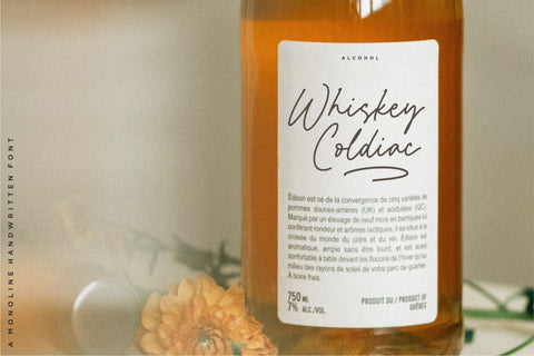 Rocklands Monoline Handwritten Font Font Letterative 