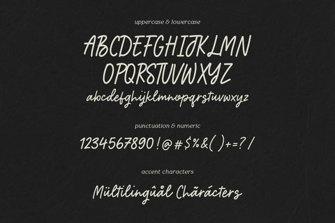 Rockmind Modern Monoline Handwritten Font Font Letterative 