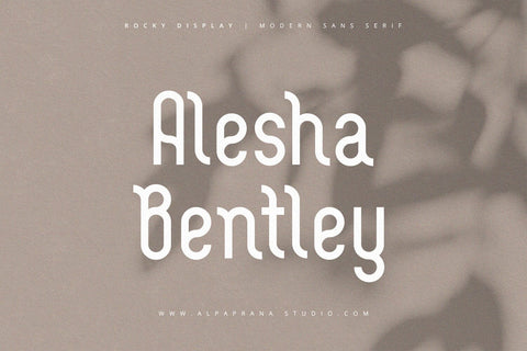 Rocky Display - Modern Sans Serif Font Font Alpaprana Studio 