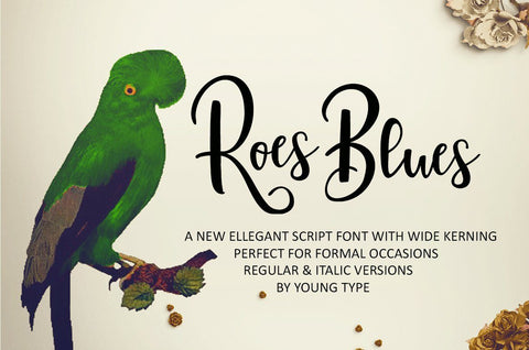 Roes Blues Font Youngtype 