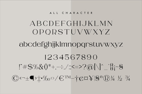 Roghiska Typeface Font Storytype Studio 