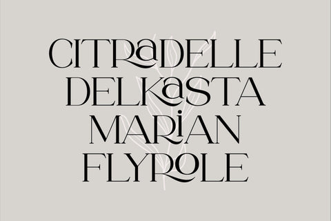 Roghiska Typeface Font Storytype Studio 