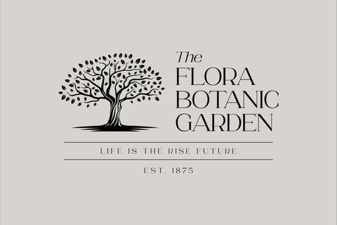 Roghiska Typeface Font Storytype Studio 