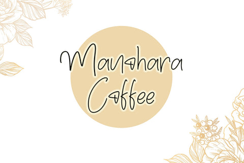 Rollanisa Font Afandi Studio 