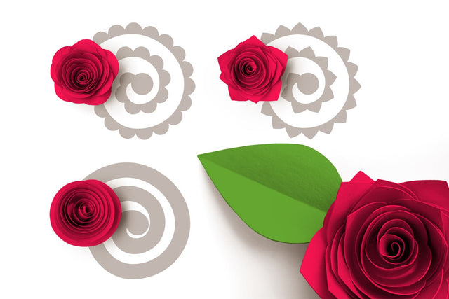 Rolled Paper Flowers SVG - Basic Petal Shapes SVG Risa Rocks It 