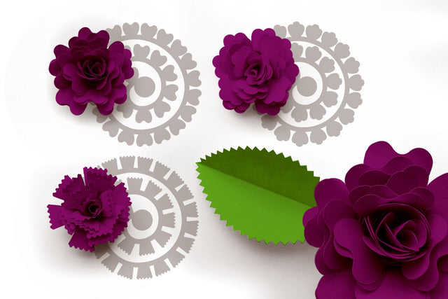 Rolled Paper Flowers SVG - Fancy Petal Shapes 3D Paper Risa Rocks It 