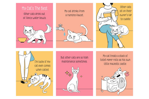 Rollings Font Cotton White Studio 