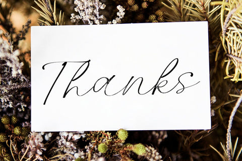 Rolsting Script﻿ Font Rastype 