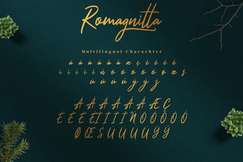 Romagnitta - Signature Font Font Ibey Design 