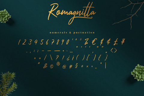 Romagnitta - Signature Font Font Ibey Design 