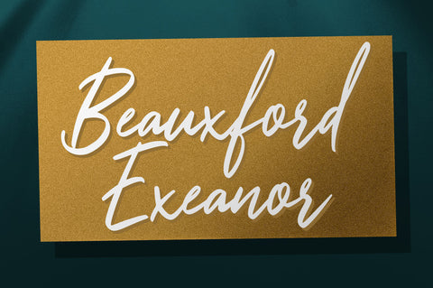 Romagnitta - Signature Font Font Ibey Design 