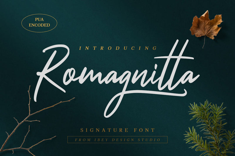 Romagnitta - Signature Font Font Ibey Design 